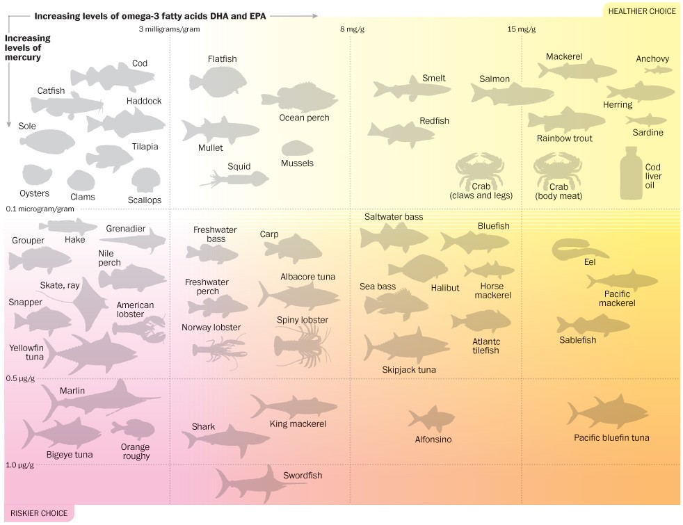 The 6 Healthiest Fish -GymLion